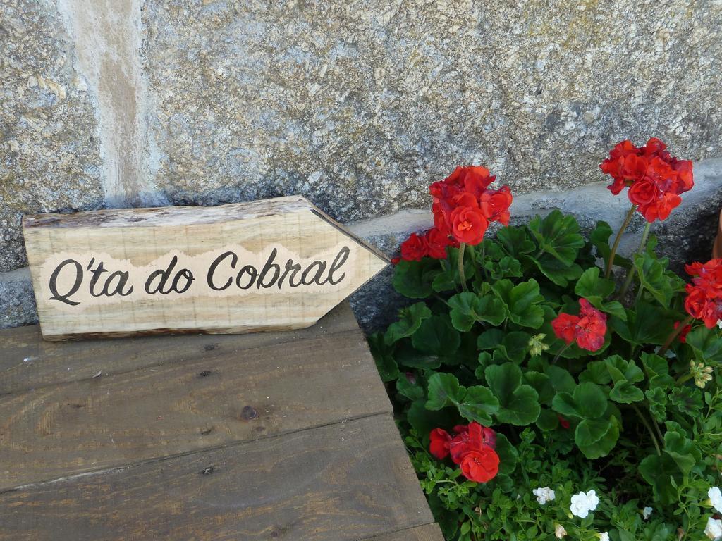 Vila Quinta Do Cobral Oliveira do Hospital Exteriér fotografie
